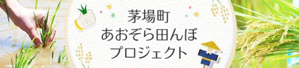 茅場町あおぞら田んぼプロジェクト